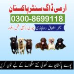 WhatsApp Image 2025-03-27 at 5.28.50 PM