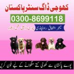 WhatsApp Image 2025-03-27 at 5.28.51 PM